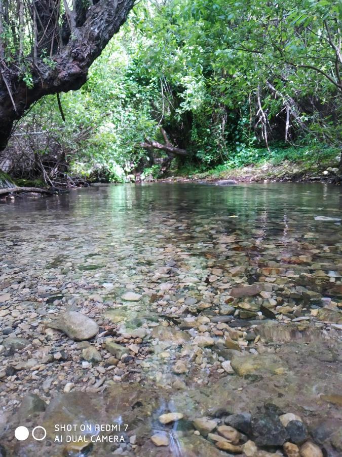 Alojamientos Sierra De Cadiz Benamahoma Eksteriør billede