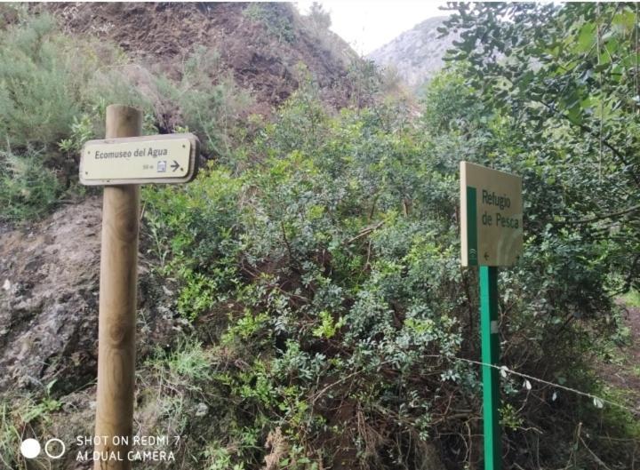 Alojamientos Sierra De Cadiz Benamahoma Eksteriør billede