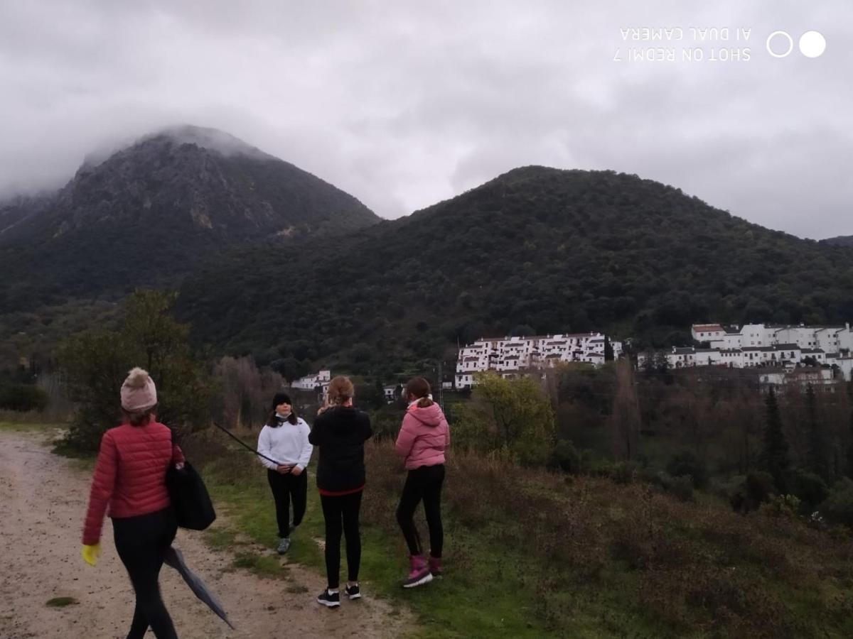 Alojamientos Sierra De Cadiz Benamahoma Eksteriør billede