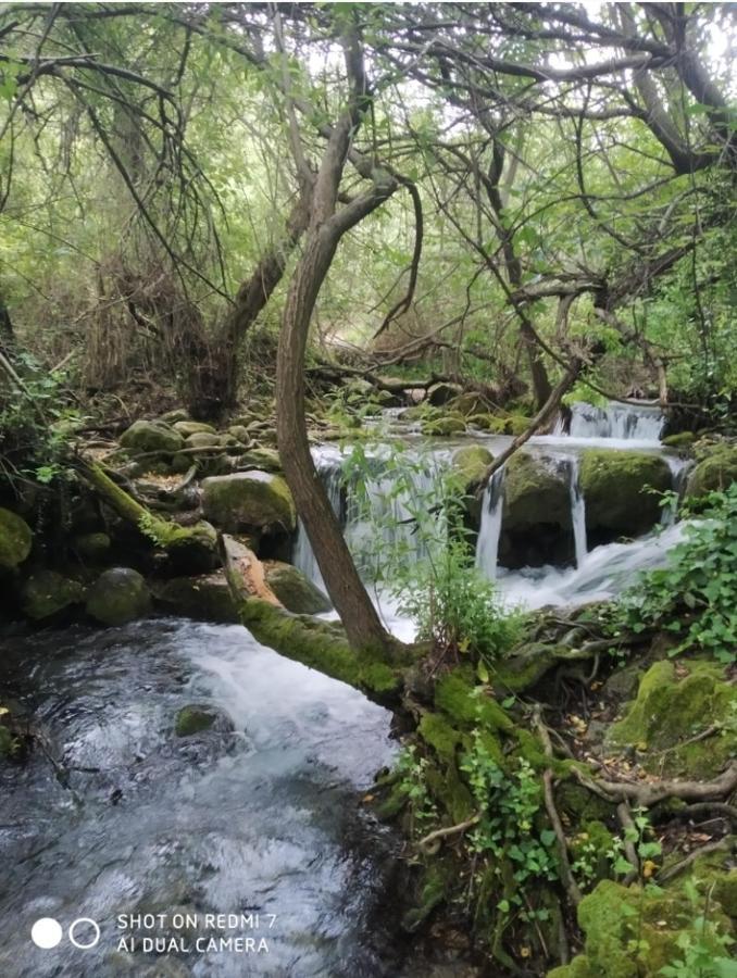 Alojamientos Sierra De Cadiz Benamahoma Eksteriør billede