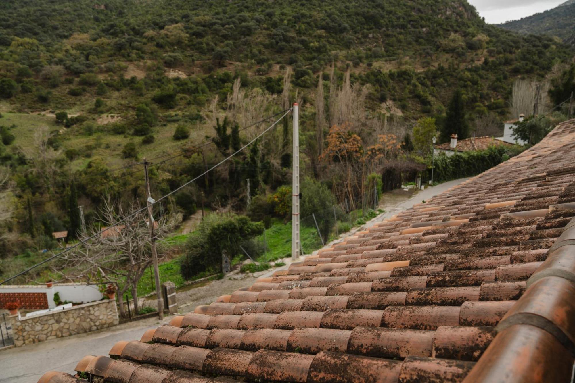 Alojamientos Sierra De Cadiz Benamahoma Eksteriør billede