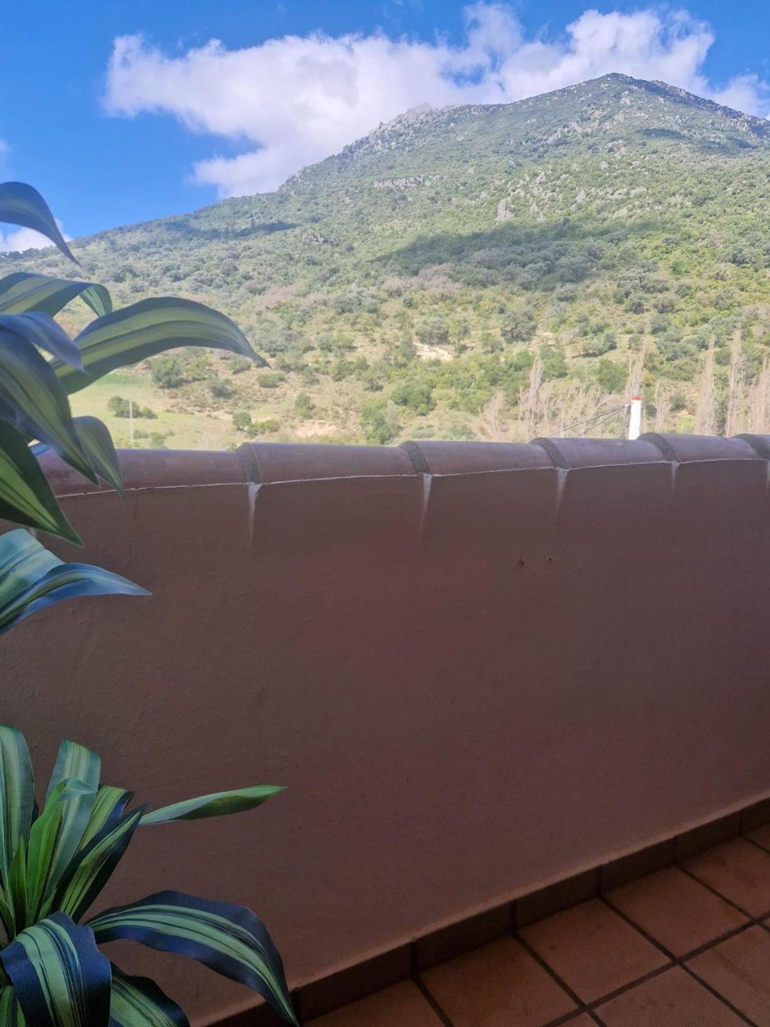 Alojamientos Sierra De Cadiz Benamahoma Eksteriør billede